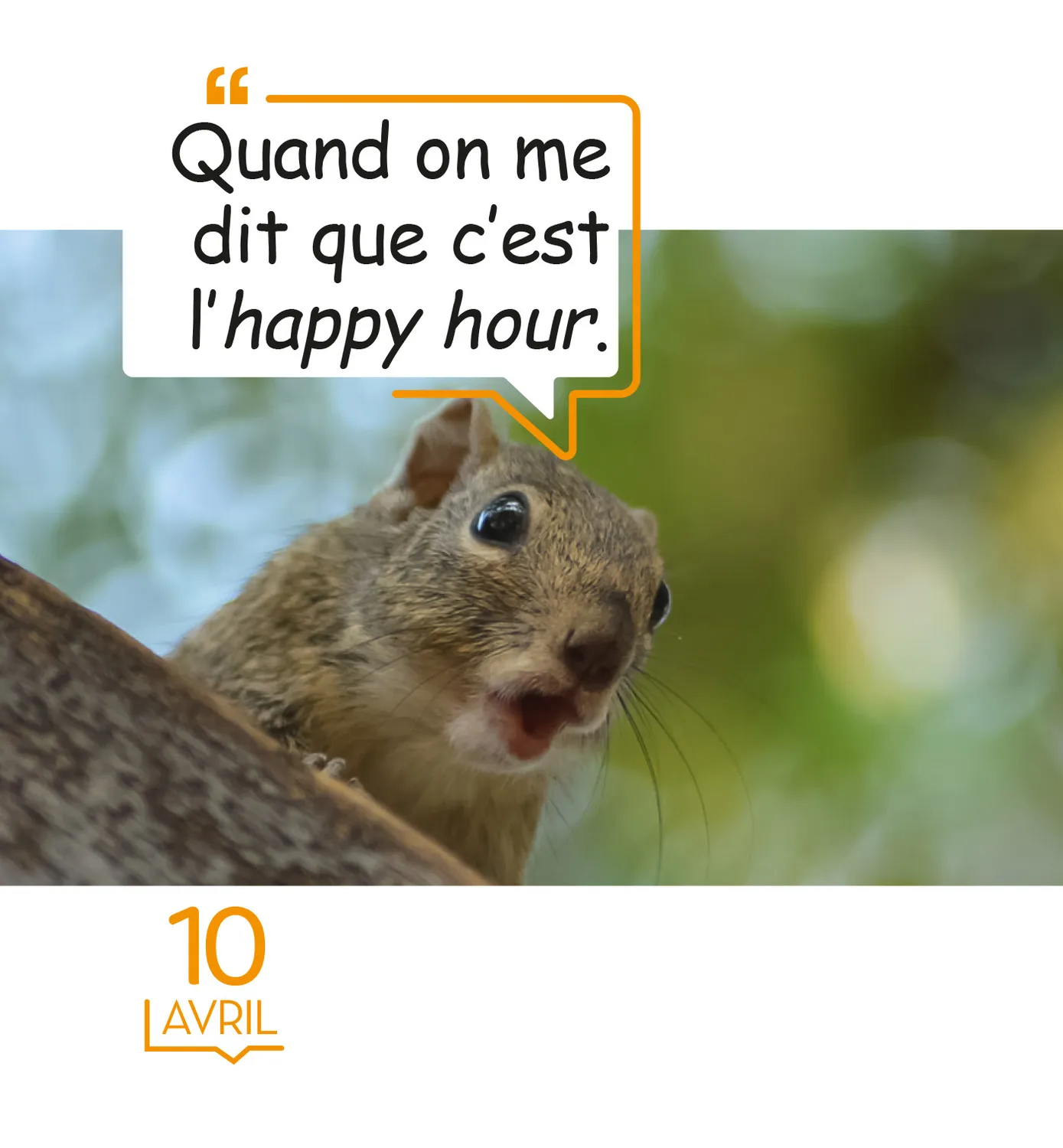 Frigobloc 365 mèmes hilarants mini calendrier humour