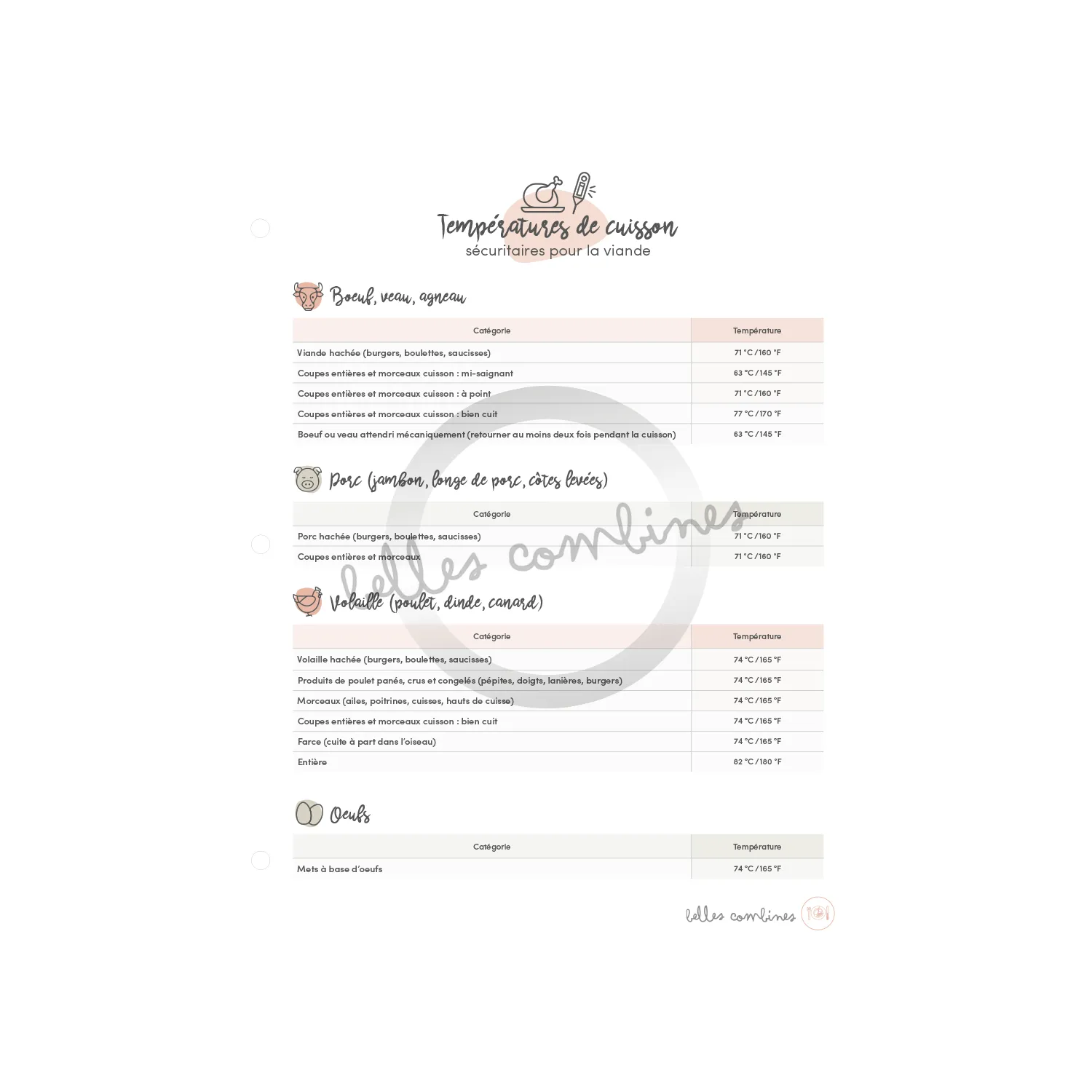 Les Belles Combines Températures cuisson aide-mémoire viandes fr