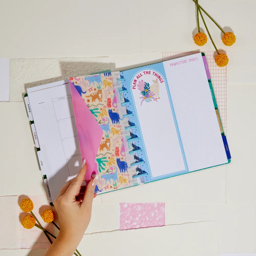 Me & my big ideas Whimsical Whiskers pack accessoires classic chat