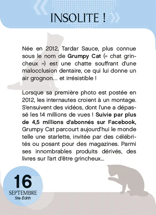 Frigobloc Amours de chats en 365 jours calendrier à bloc chats