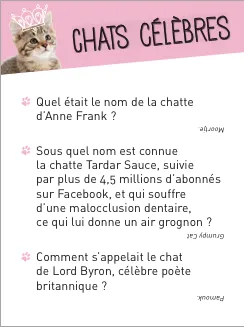 Quiz Chat boîte jeu 350 questions et défis