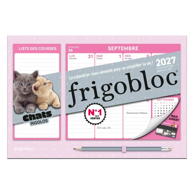 Frigobloc Mini Chats Rigolos 2027 calendrier familial 16 mois aimant