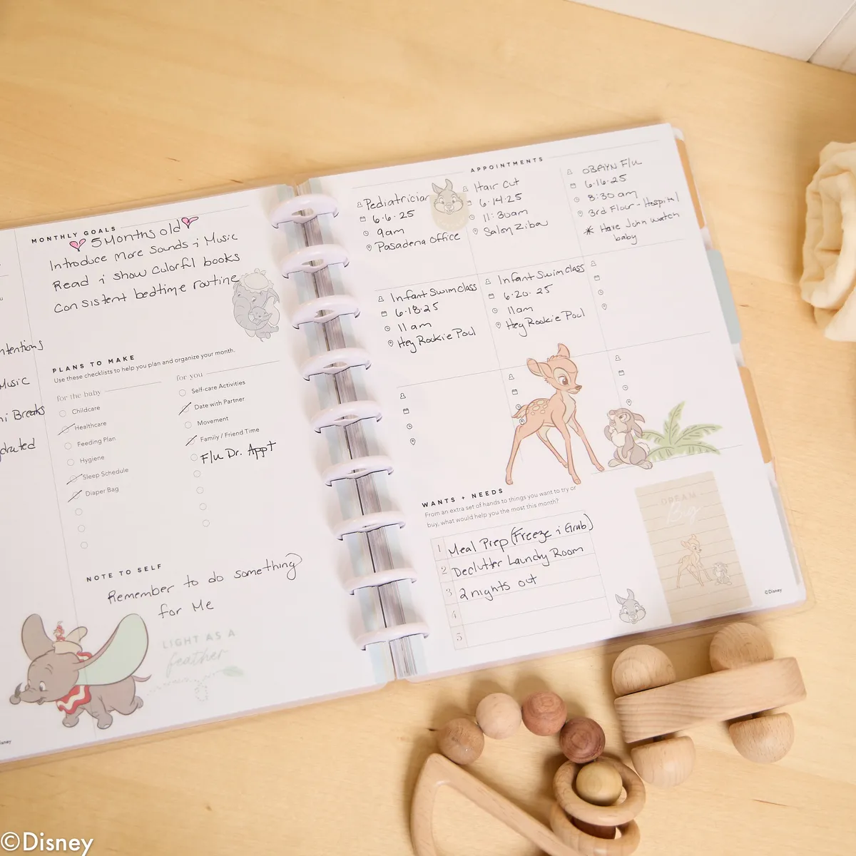 Happy Planner Disney Baby Classic planner bébé 12 mois