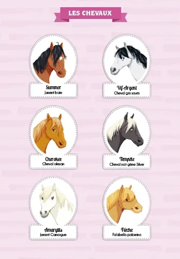 Frigobloc Le Galop des Étoiles Le Casting Tome 8 roman cheval