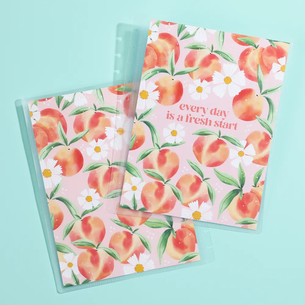 Happy Planner Everyday Essentials couverture big à personnaliser transparente