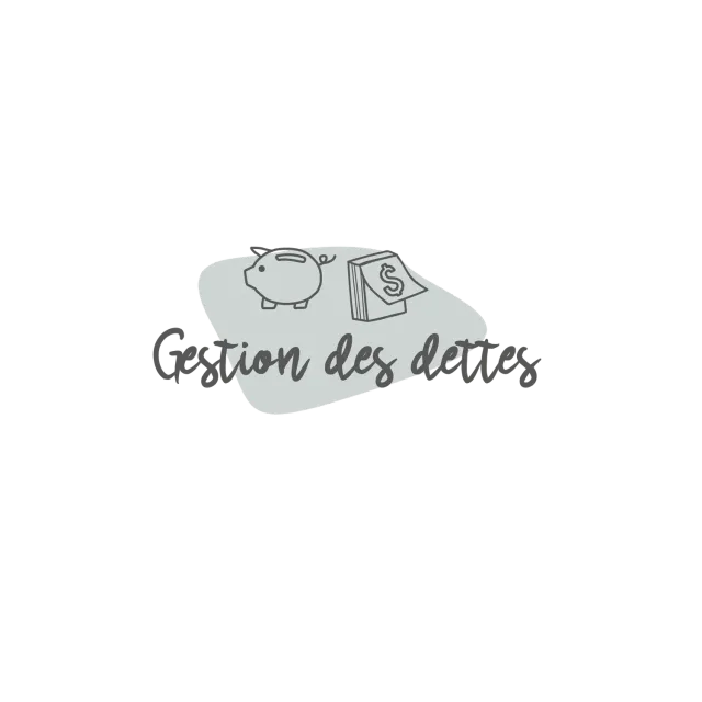 Les Belles Combines Petites Combines Gestion des dettes fiche française