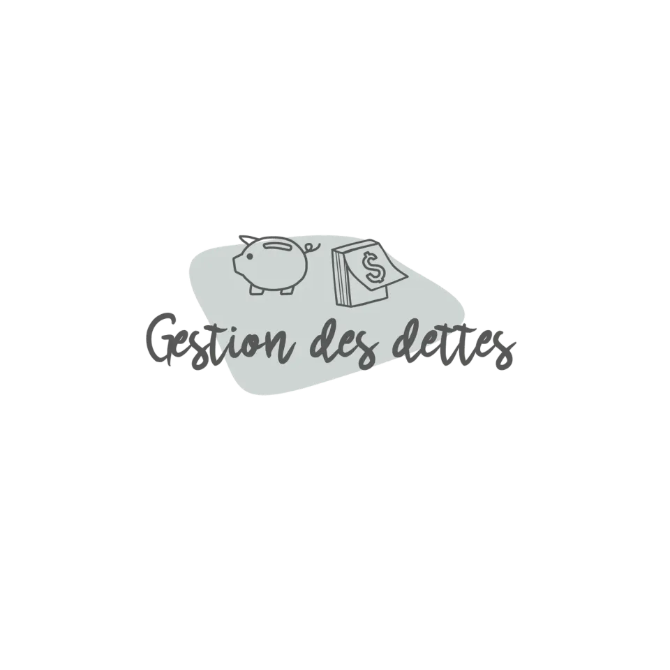 Les Belles Combines Petites Combines Gestion des dettes fiche française