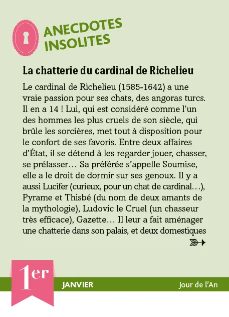Frigobloc Mystères de l'Histoire calendrier 365 jours à bloc