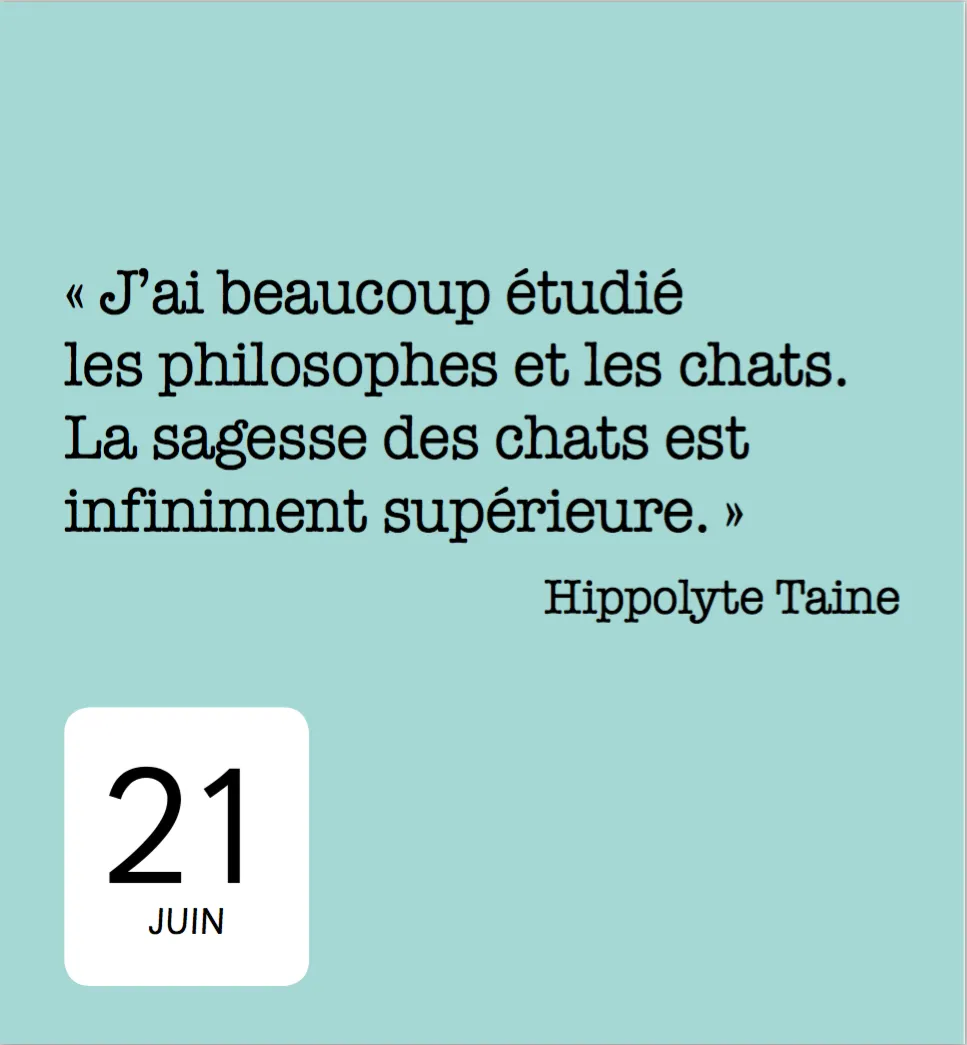 Frigobloc 365 jours avec les chats mini calendrier annuel