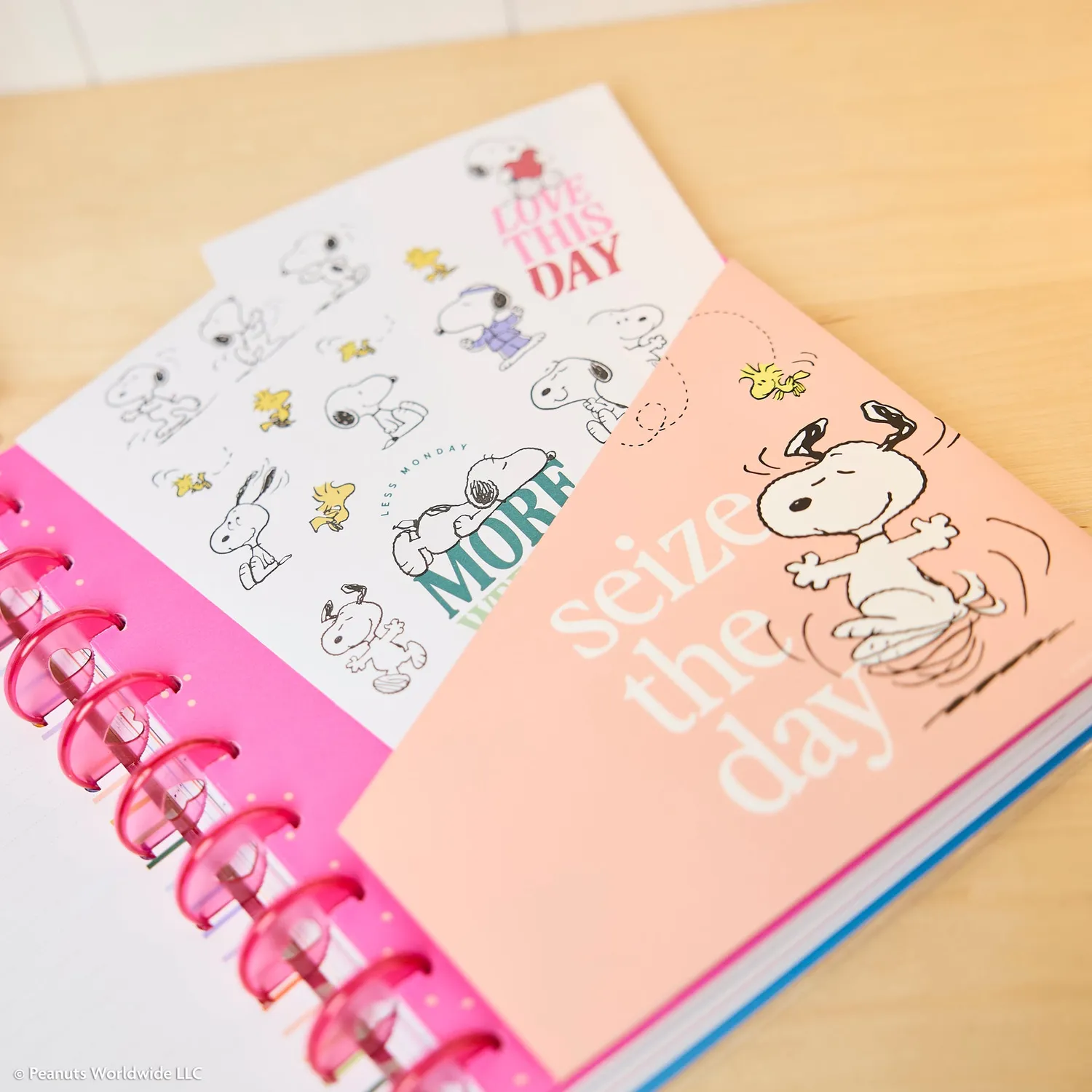 Happy Planner Peanuts Classic pack accessoires Snoopy
