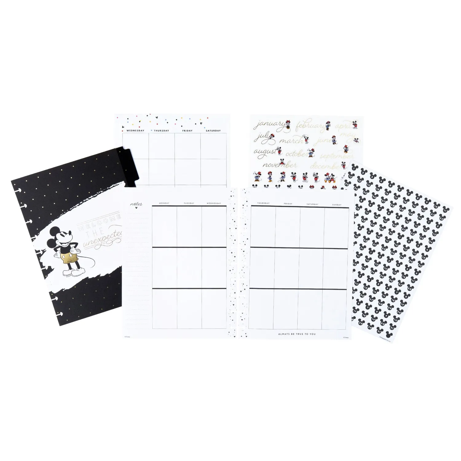 Happy Planner Mickey Minnie extension Classic verticale non datée 6 mois