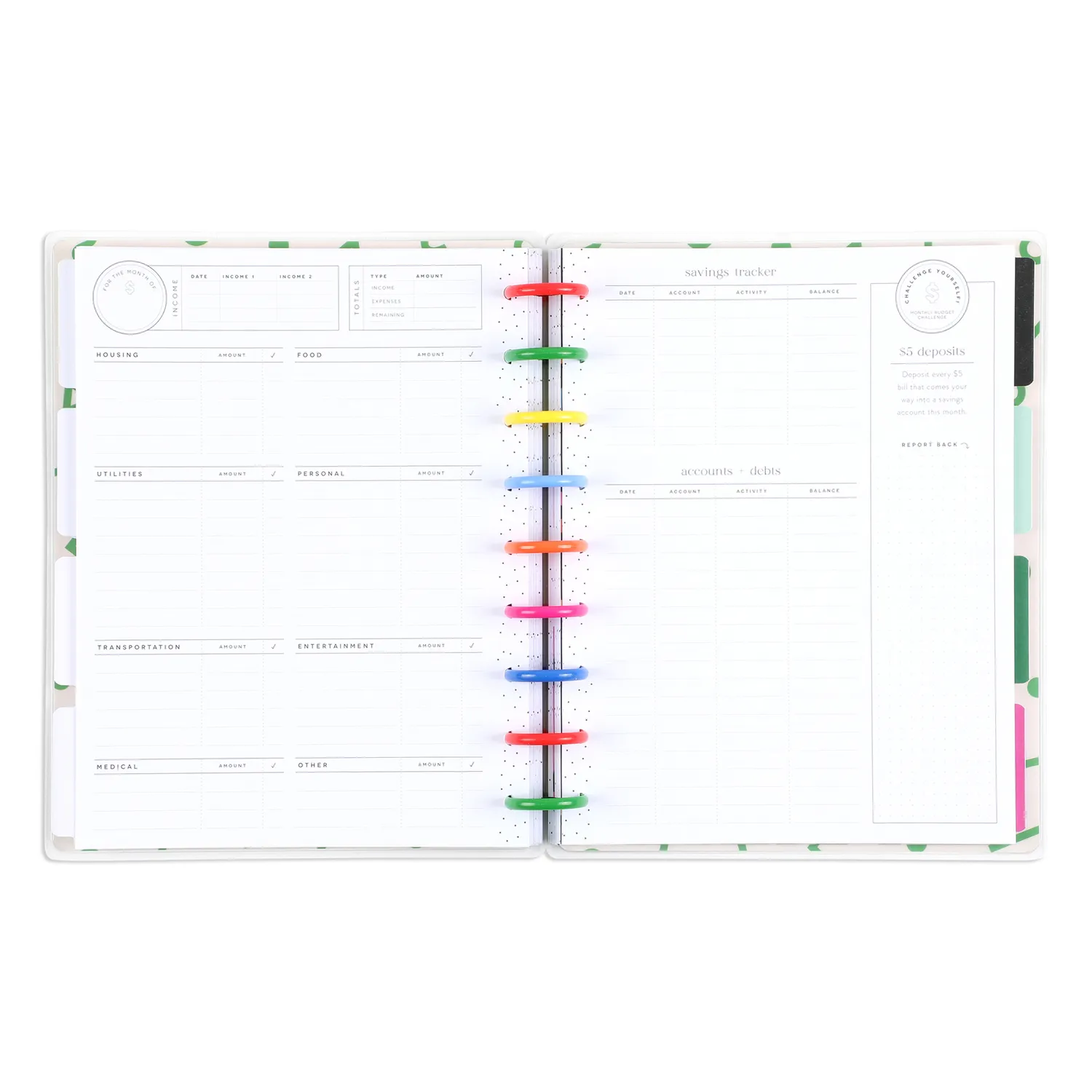 Happy Planner Big Dollar Energy agenda budget Classic non daté