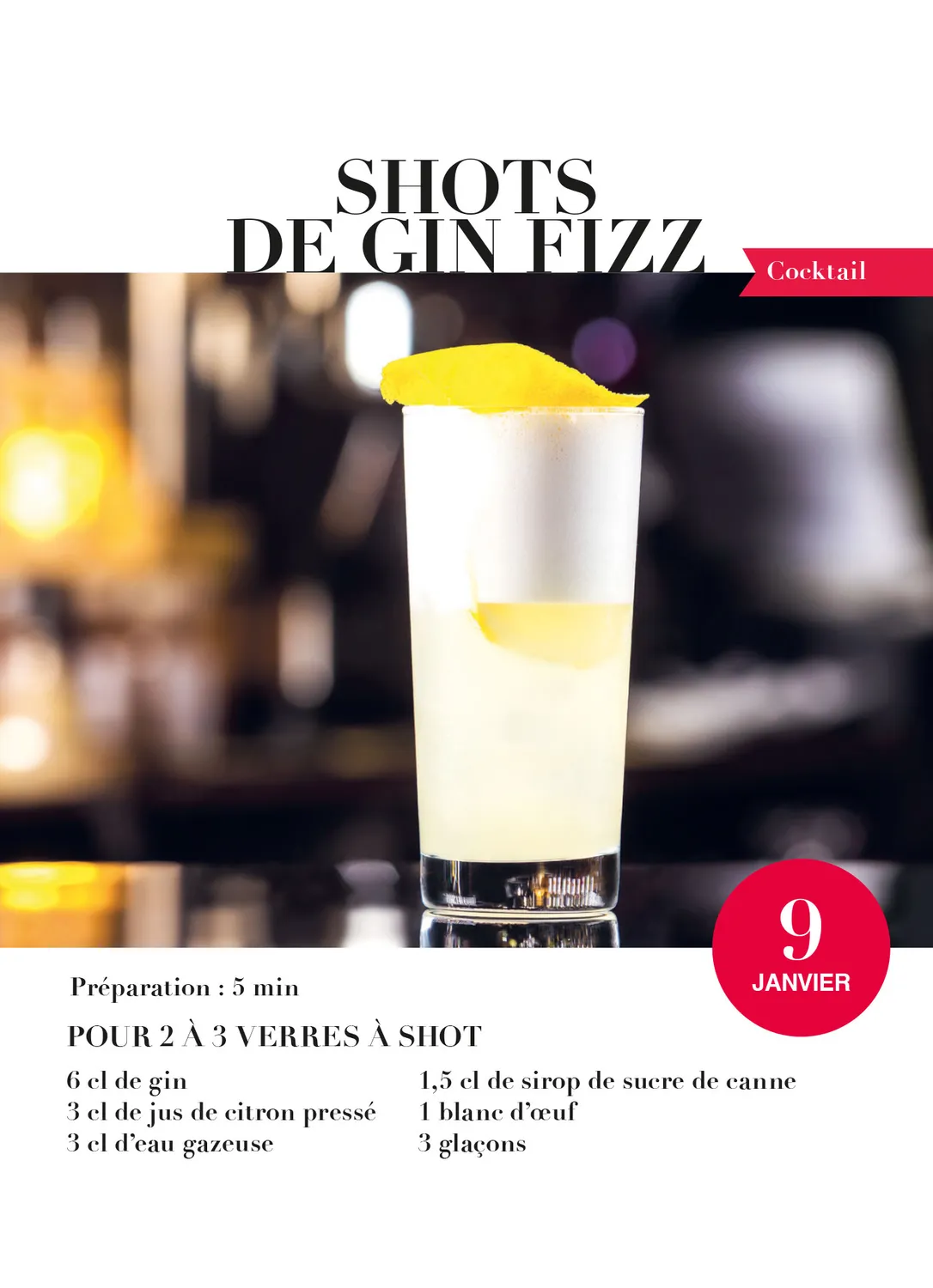 Frigobloc Cocktails et apéros 365 jours calendrier à bloc