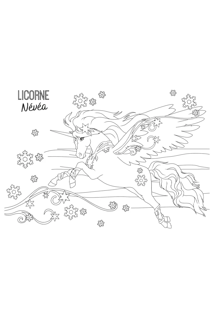 Licornes de rêve Magie des neiges coffret pierre Névéa