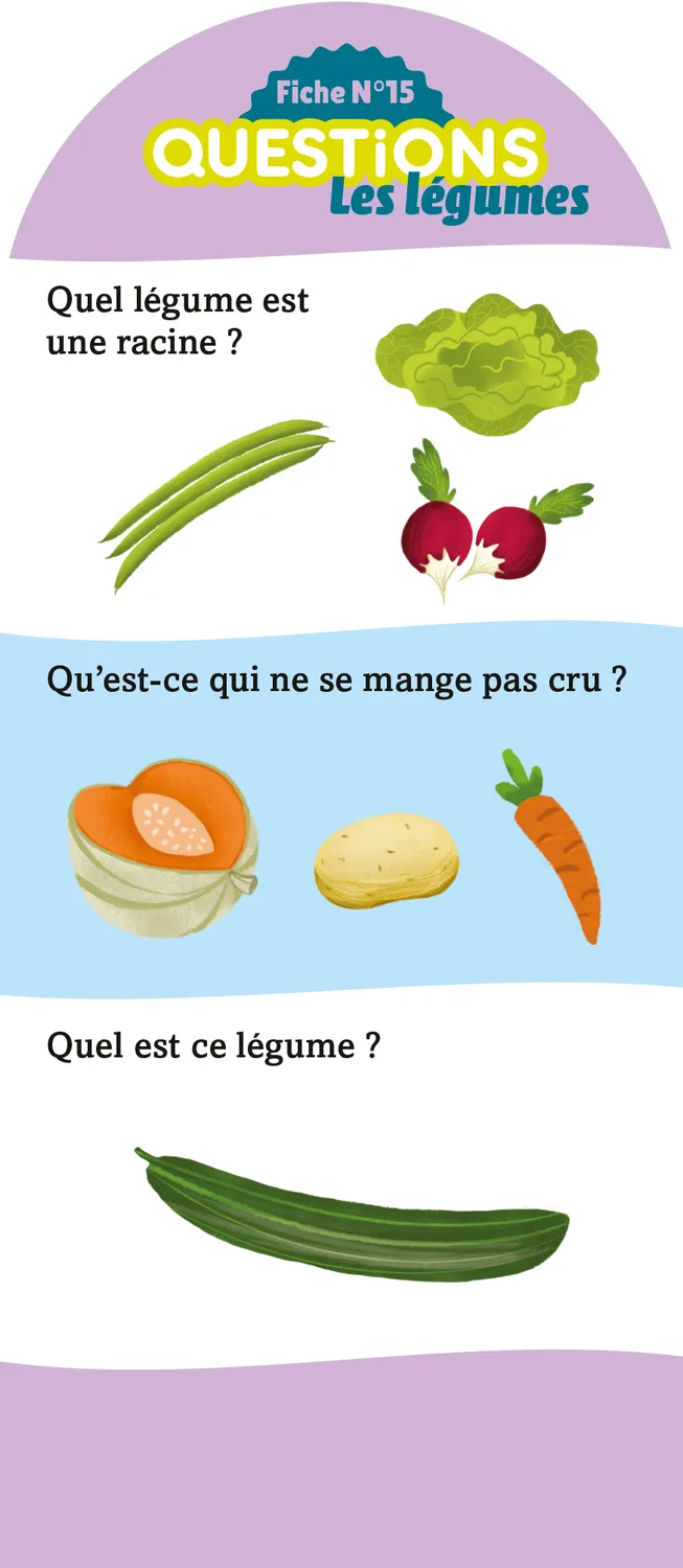 Frigobloc Les Incollables GS-CP éventail quiz 180 questions