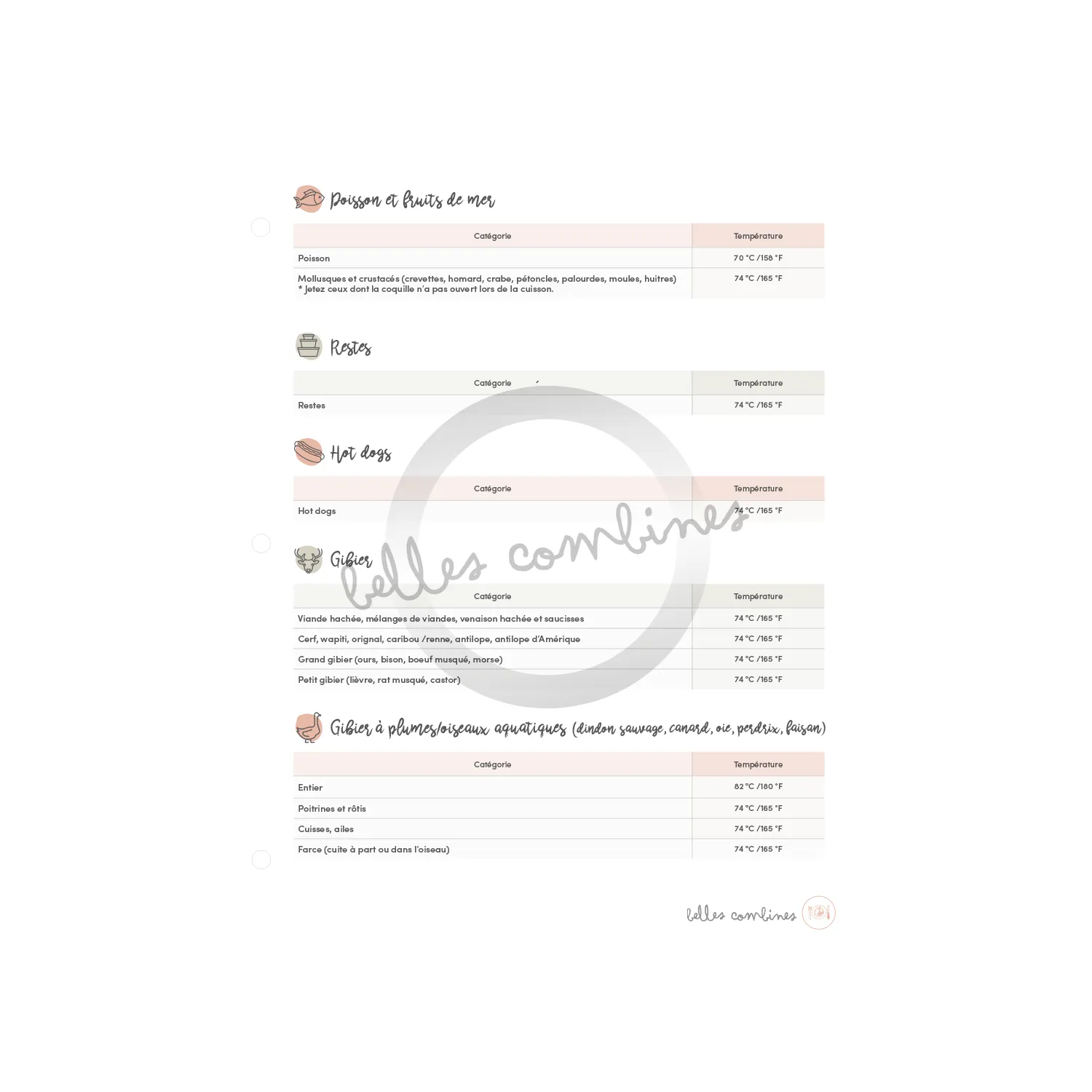 Les Belles Combines Températures cuisson aide-mémoire viandes fr