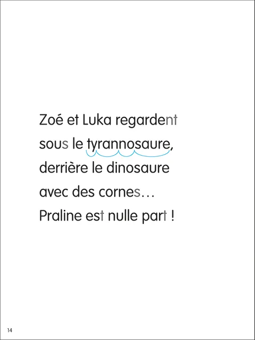 Les Incollables Premières lectures Tome 23 livre CP niveau 2