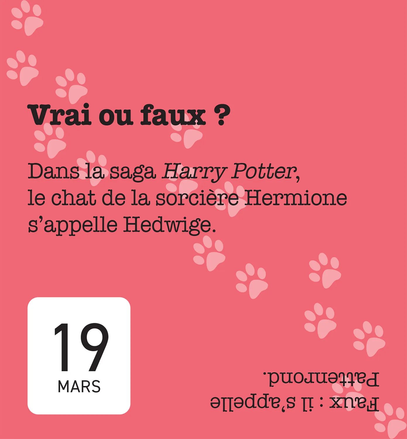 Frigobloc Mini calendrier 365 amours de chats éphéméride
