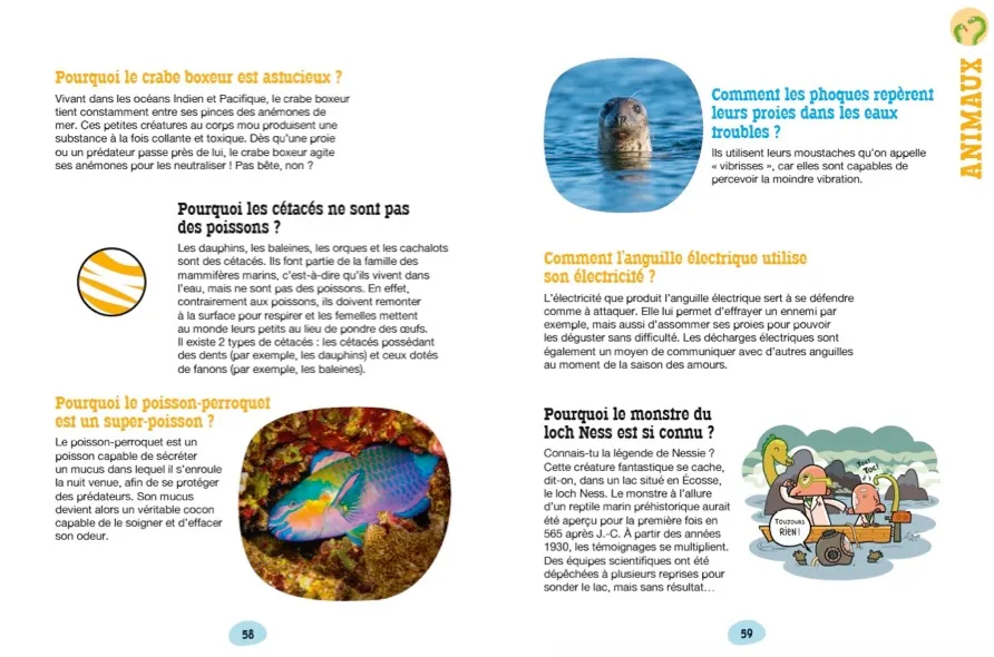 Les Incollables Pourquoi Comment Spécial Sciences livre 6 ans 2019