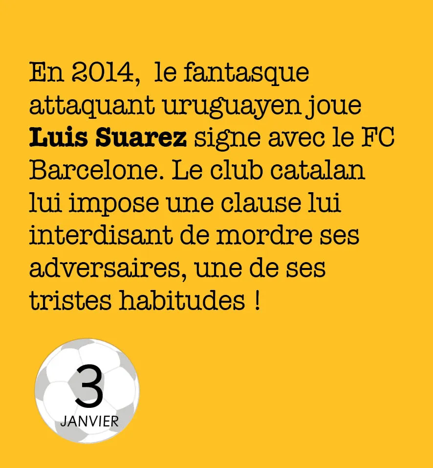 Frigobloc Mini calendrier 365 jours Totalement Foot