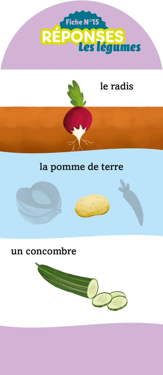 Frigobloc Les Incollables GS-CP éventail quiz 180 questions