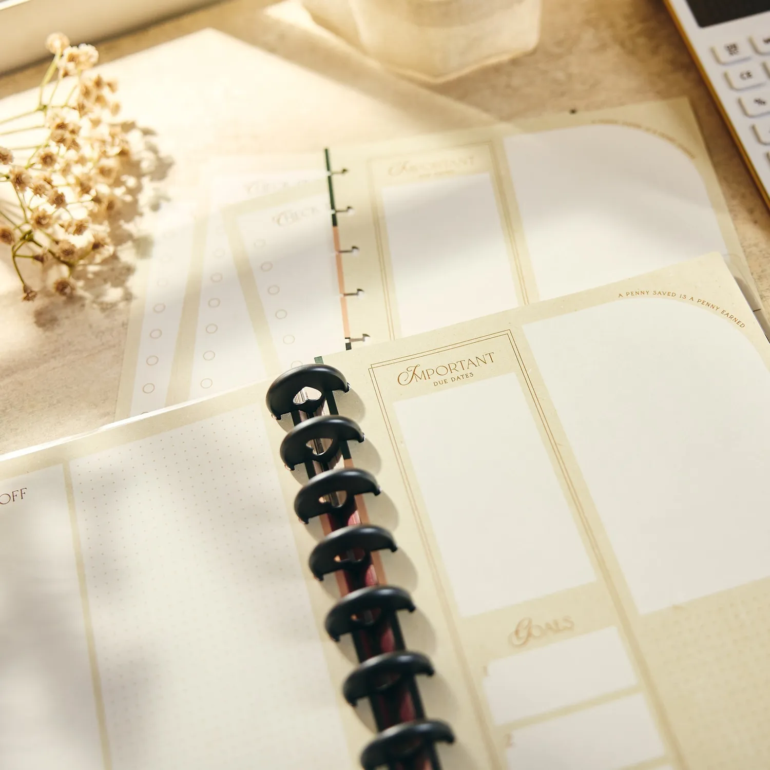 Happy Planner Amber & Oak recharge budget Classic 40 feuilles
