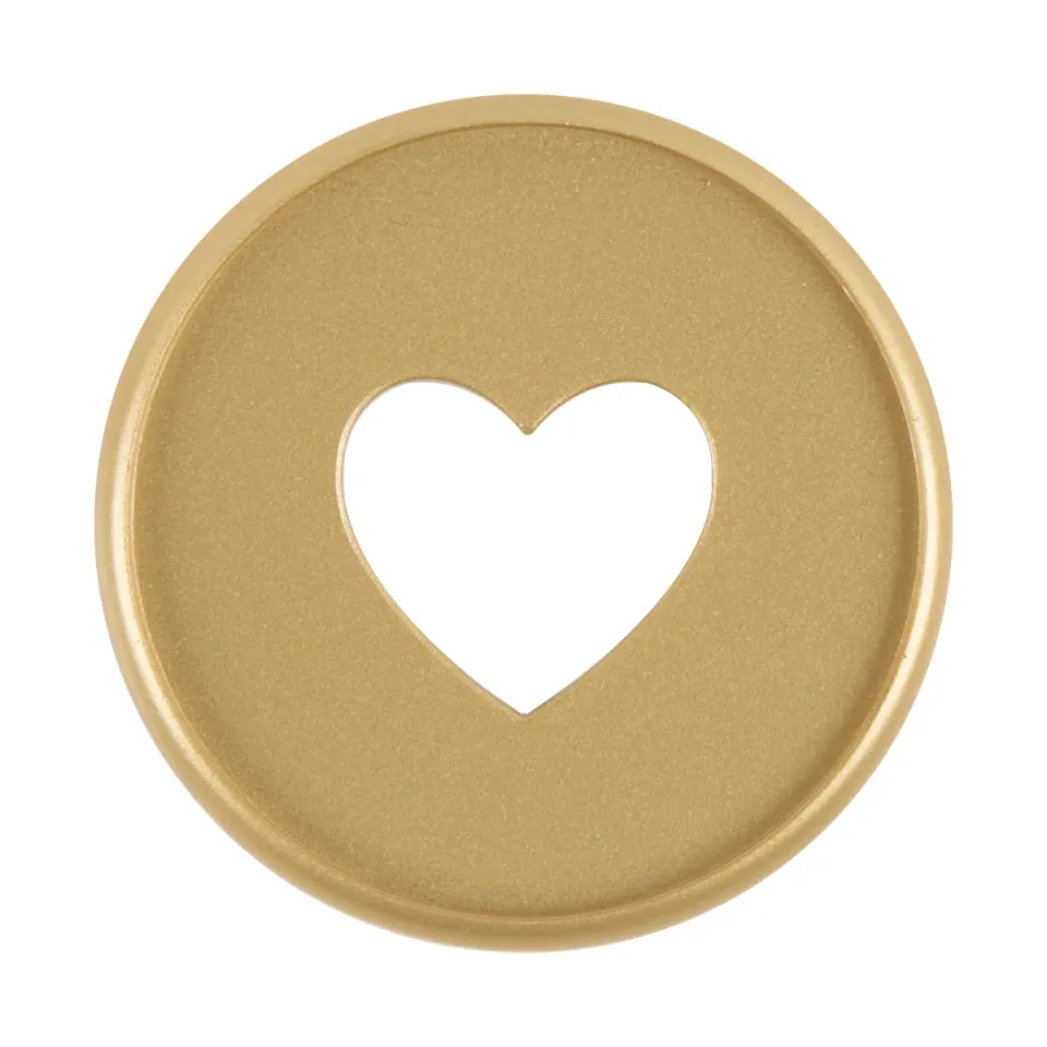Happy Planner Medallion disques extenseurs plastique x11