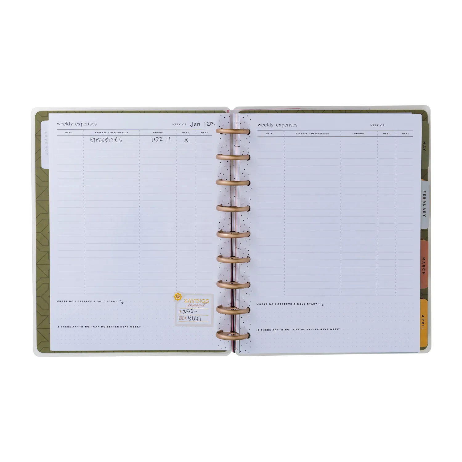 Happy Planner Sage Terracotta planner budget non daté 12 mois