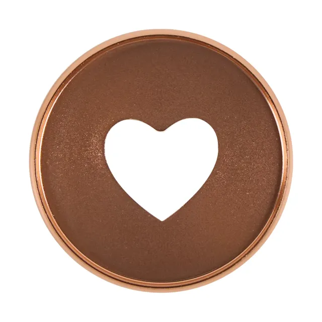 Happy Planner Rose Gold disques métal expander x11