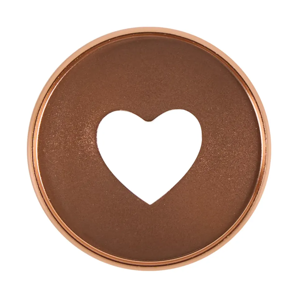 Happy Planner Rose Gold disques métal expander x11