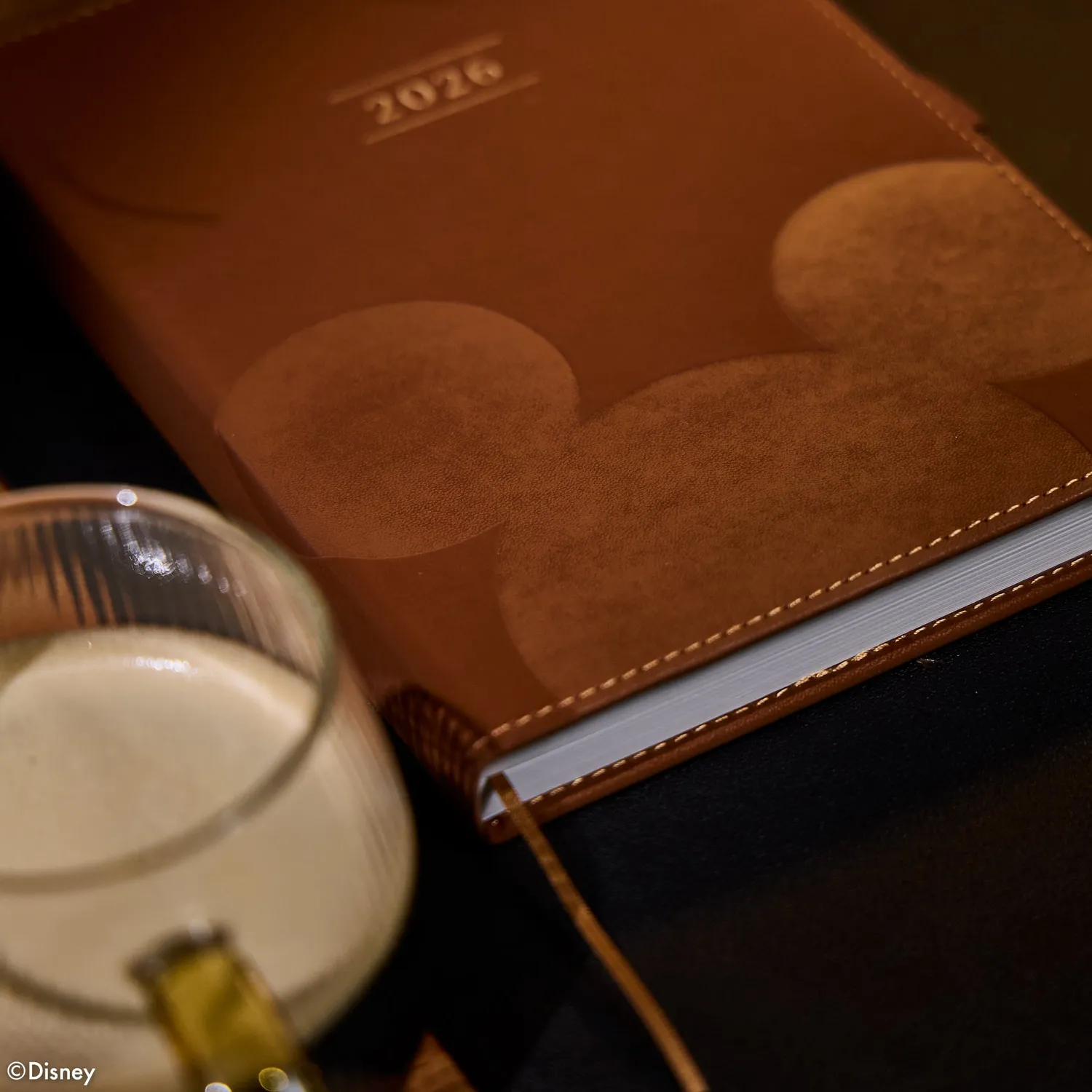Happy Planner Disney Mickey agenda non daté Small Espresso 12 mois