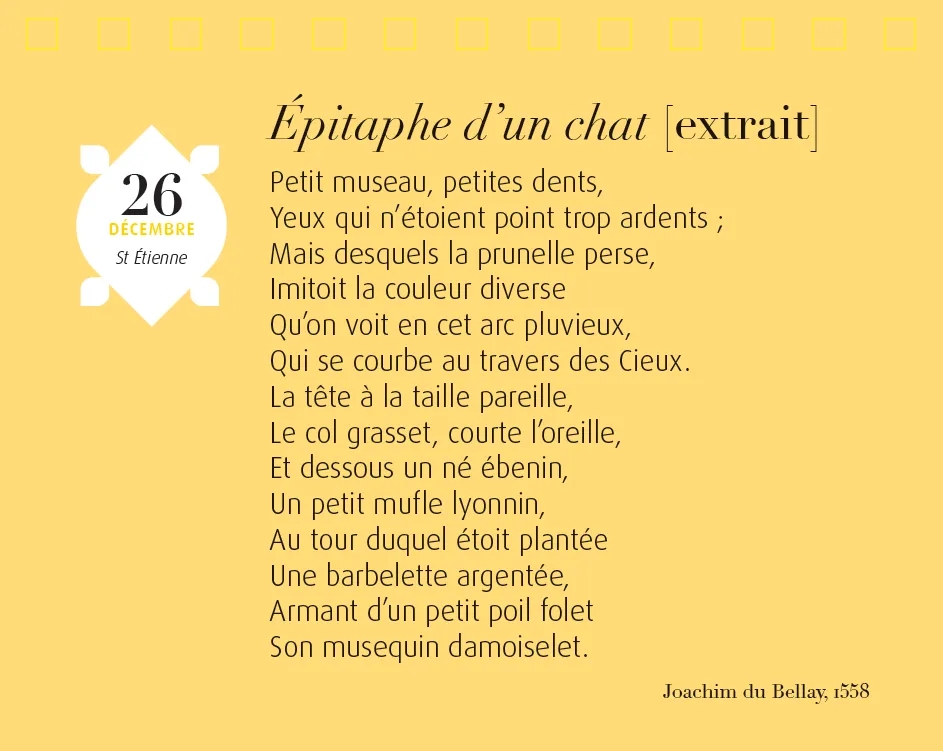 Frigobloc 365 jours Chats et chatons calendrier chevalet