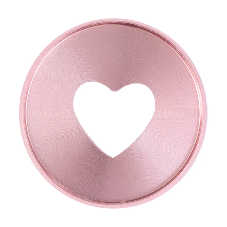Happy Planner Chiffon Expander disques métal rose lot 11