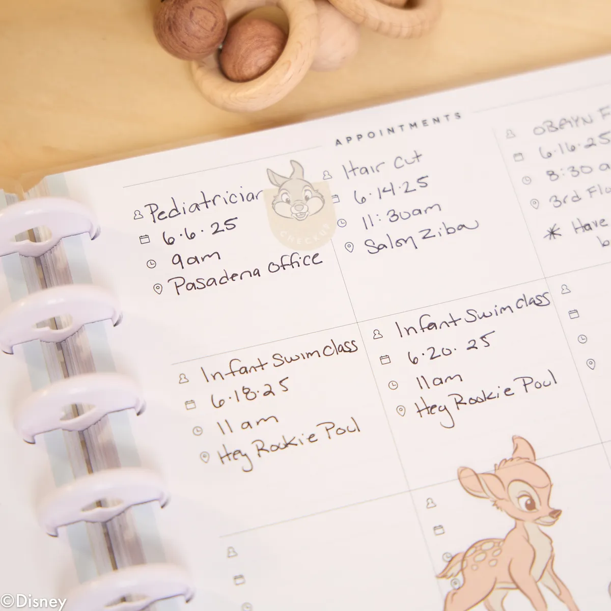 Happy Planner Disney Baby Classic planner bébé 12 mois
