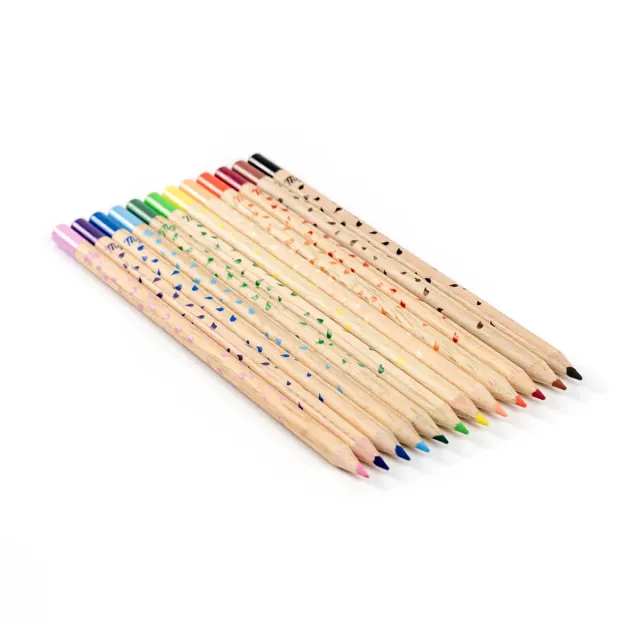 My365 Boite 12 crayons couleur aquarellables