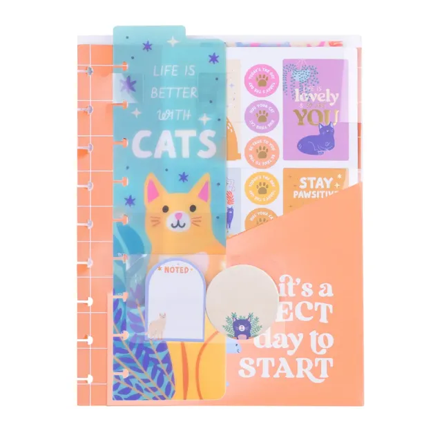 Me & my big ideas Whimsical Whiskers pack accessoires classic chat