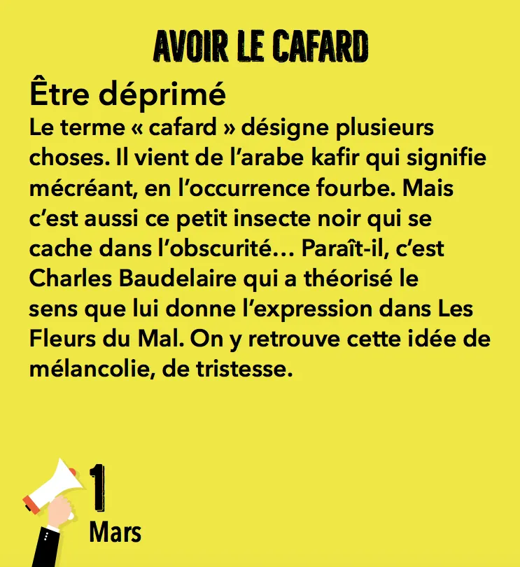 Frigobloc Mini calendrier 365 expressions et leur origine