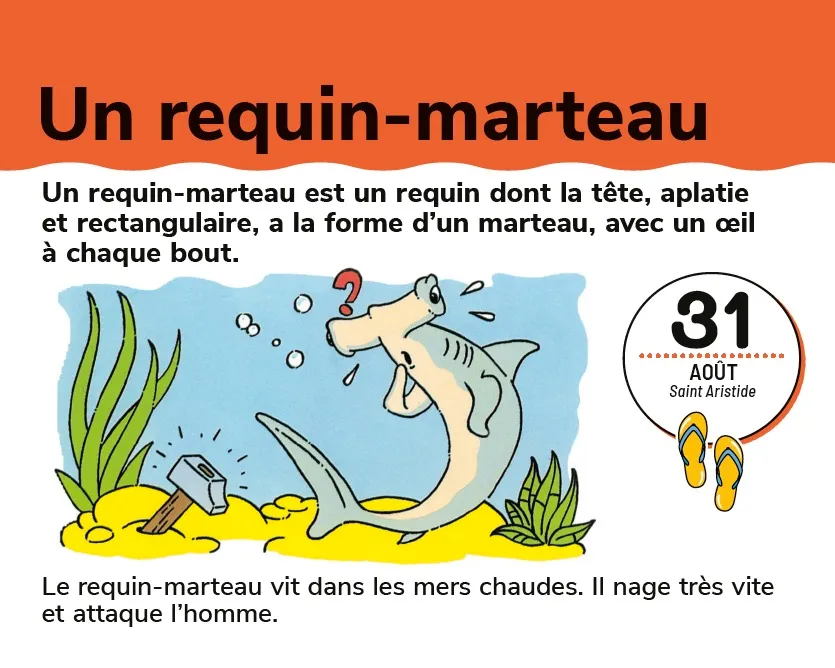 Frigobloc Les Incollables Un Mot par Jour bloc 5-6 ans 2024