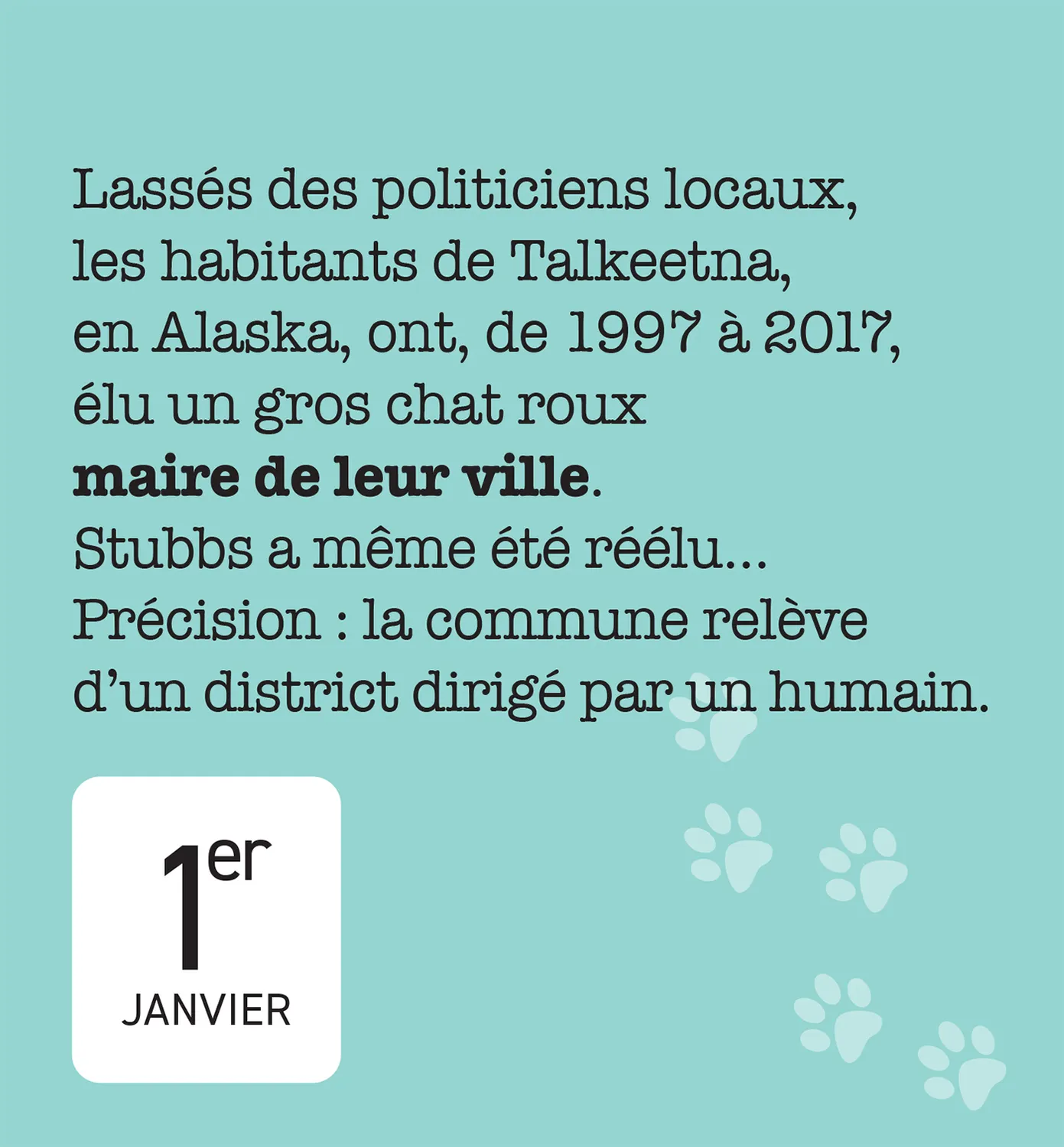 Frigobloc Mini calendrier 365 amours de chats éphéméride