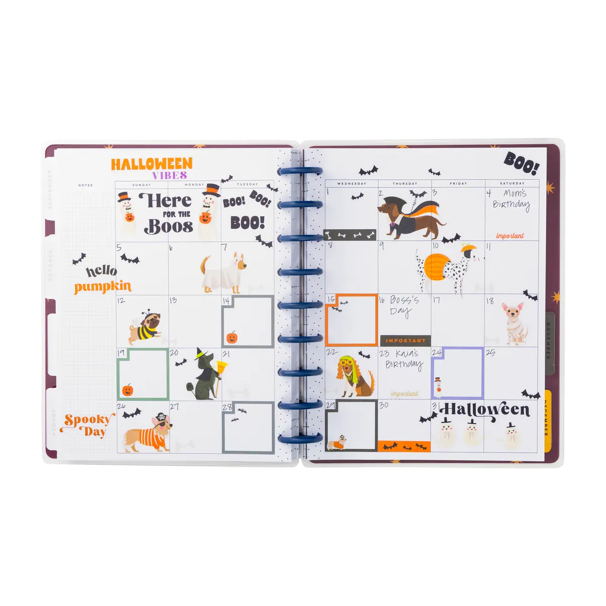 Happy Planner Share Your Magic agenda classic vertical non daté 12 mois