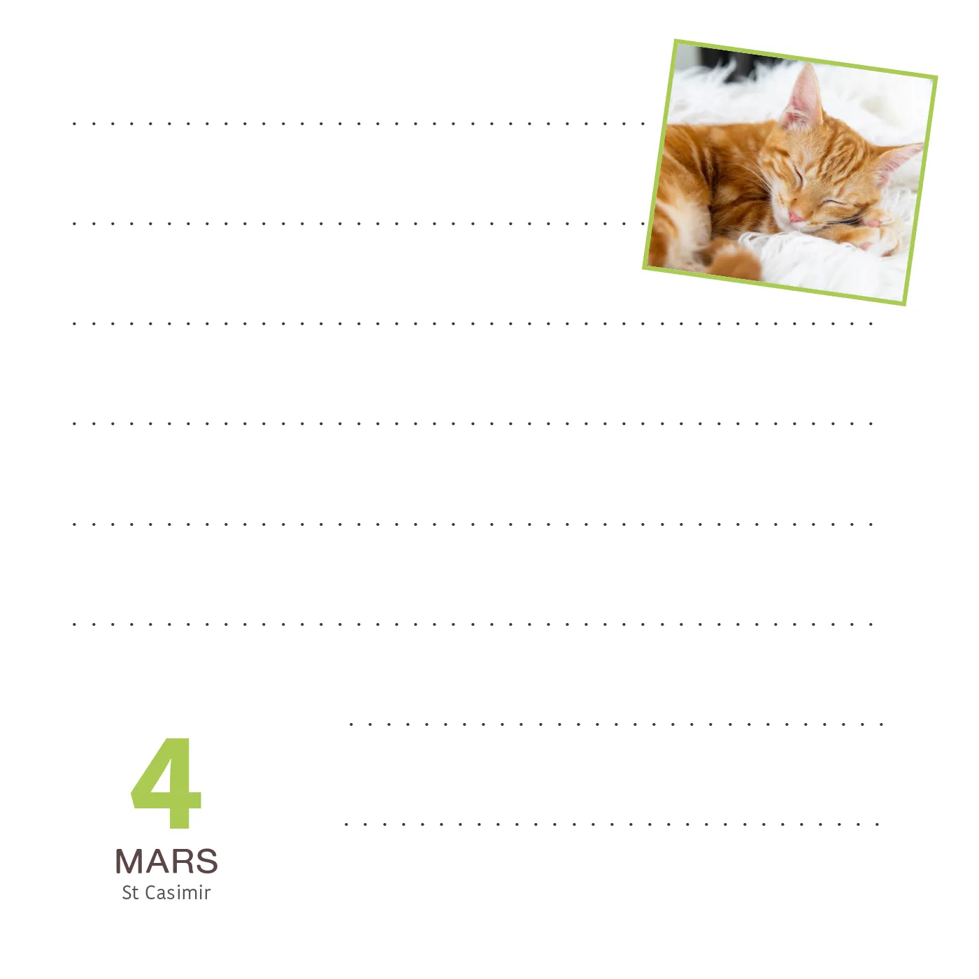Frigobloc Calendrier Bloc notes Chats bloc mémo photos
