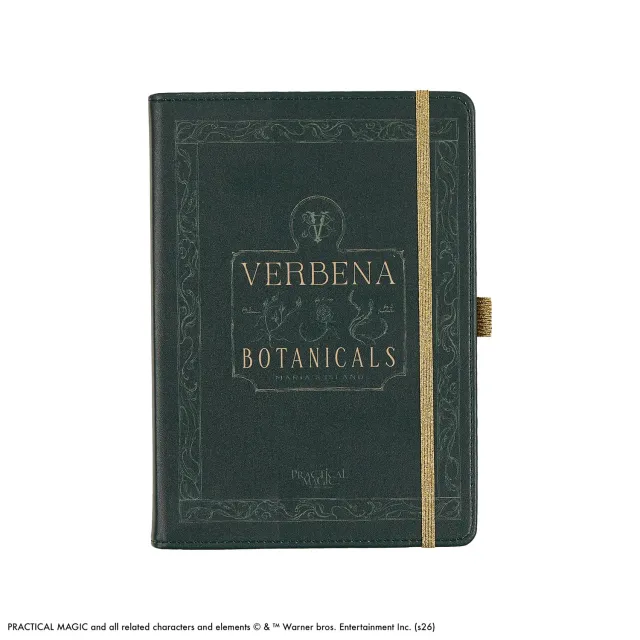 Happy Planner Practical Magic journal pointillé A5 tranches dorées
