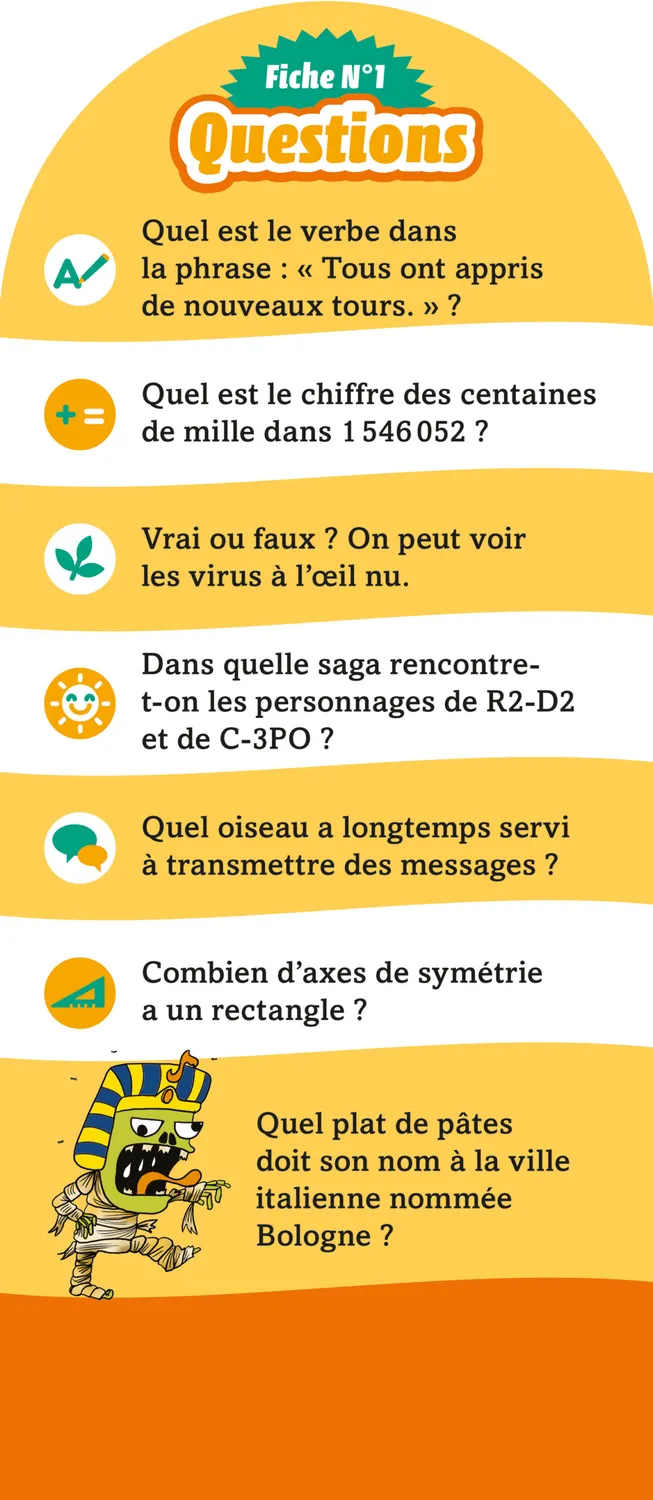 Frigobloc Les Incollables 350 quiz CM1-CM2 9-10 ans