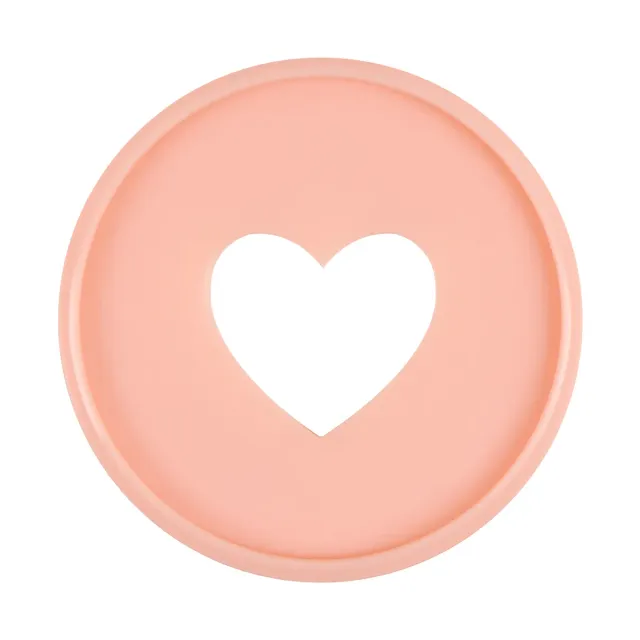 Happy Planner Blush disques plastique Expander x11 rose