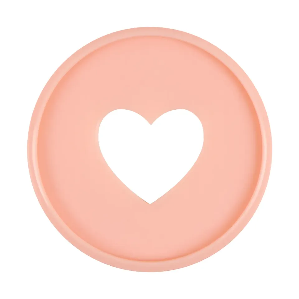 Happy Planner Blush disques plastique Expander x11 rose