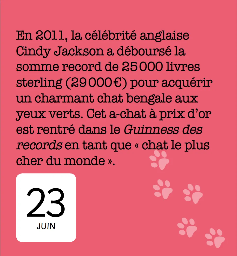 Frigobloc 365 jours avec les chats mini calendrier annuel