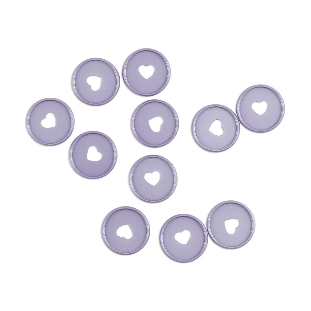 Happy Planner Pearl Powder Wisteria disques métal Medium