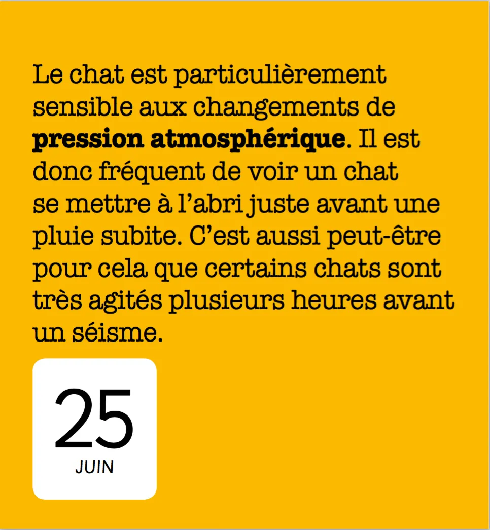 Frigobloc 365 jours avec les chats mini calendrier annuel