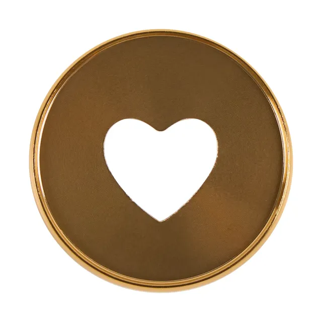 Happy Planner Gold Expander disques métal x11 doré