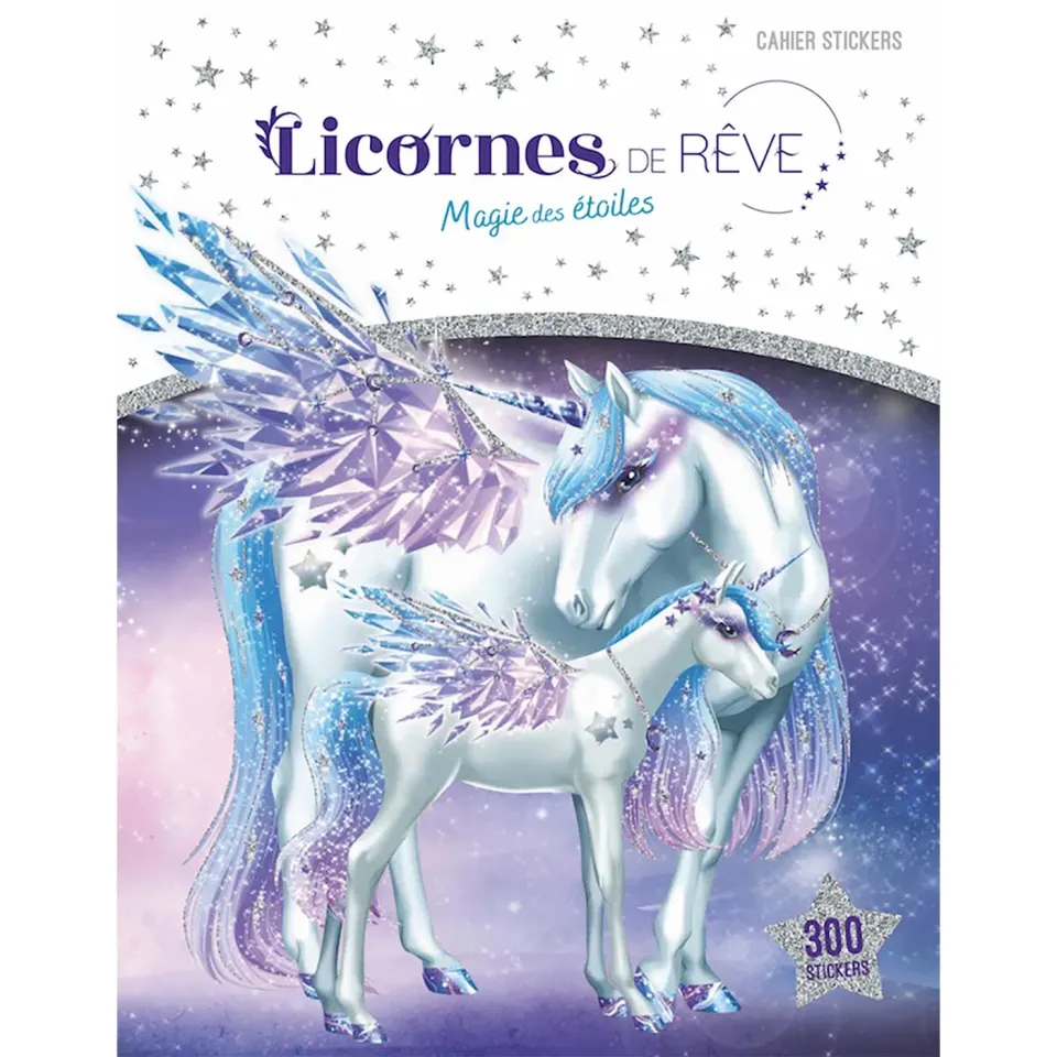 Frigobloc Licornes de rêve Magie des étoiles cahier stickers 300